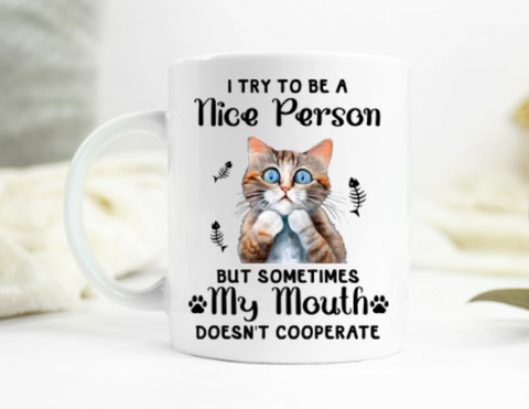 Nice Person Mug