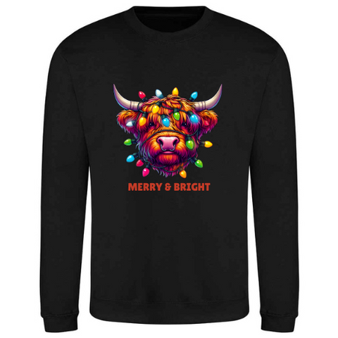 Christmas Coo Sweatshirt